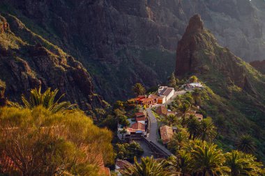 Tenerife 'deki Masca Vadisi' nin manzarası, Kanarya Adası, İspanya. Tenerife 'de palmiye ağaçları ve tropikal bitki örtüsü olan manzaralı bir dağ manzarası. Masca köyünde ünlü volkanik kaya oluşumu