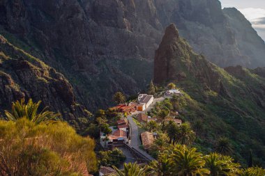 Tenerife 'deki Masca Vadisi' nin manzarası, Kanarya Adası, İspanya. Tenerife 'de palmiye ağaçları ve tropikal bitki örtüsü olan manzaralı bir dağ manzarası. Masca köyünde ünlü volkanik kaya oluşumu