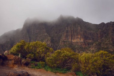 Masca Vadisi, Tenerife, İspanya 'daki yeşil volkanik manzaranın üzerinde güzel bir günbatımı. Tenerife adasının hava manzarası. Seyahat yeri, Kanarya adaları manzarası