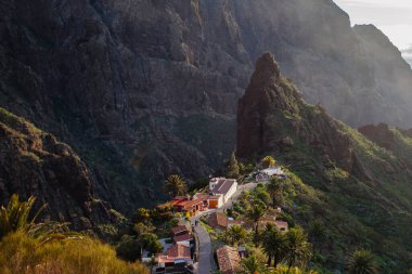 Tenerife 'deki Masca Vadisi' nin manzarası, Kanarya Adası, İspanya. Tenerife 'de palmiye ağaçları ve tropikal bitki örtüsü olan manzaralı bir dağ manzarası. Masca köyünde ünlü volkanik kaya oluşumu