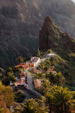 Tenerife 'deki Masca Vadisi' nin manzarası, Kanarya Adası, İspanya. Tenerife 'de palmiye ağaçları ve tropikal bitki örtüsü olan manzaralı bir dağ manzarası. Masca köyünde ünlü volkanik kaya oluşumu