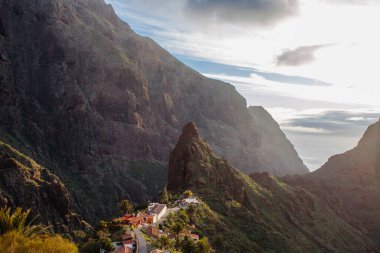 Tenerife 'deki Masca Vadisi' nin manzarası, Kanarya Adası, İspanya. Tenerife 'de palmiye ağaçları ve tropikal bitki örtüsü olan manzaralı bir dağ manzarası. Masca köyünde ünlü volkanik kaya oluşumu