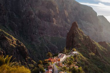 Tenerife 'deki Masca Vadisi' nin manzarası, Kanarya Adası, İspanya. Tenerife 'de palmiye ağaçları ve tropikal bitki örtüsü olan manzaralı bir dağ manzarası. Masca köyünde ünlü volkanik kaya oluşumu