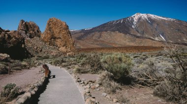 Teide Ulusal Parkı, Tenerife, Kanarya Adaları, İspanya 'da güzel volkanik kayalar ve çöl