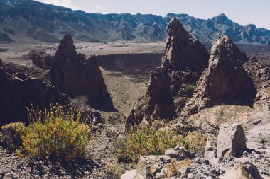 Teide Ulusal Parkı, Tenerife, Kanarya Adaları, İspanya 'da güzel volkanik kayalar ve çöl