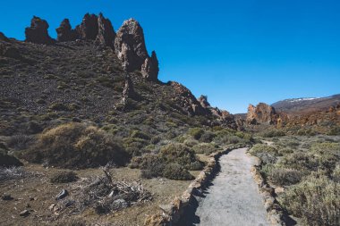 Teide Ulusal Parkı, Tenerife, Kanarya Adaları, İspanya 'da güzel volkanik kayalar ve çöl