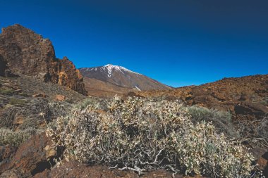 Teide Ulusal Parkı, Tenerife, Kanarya Adaları, İspanya 'da güzel volkanik kayalar ve çöl