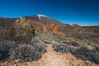 Teide Ulusal Parkı, Tenerife, Kanarya Adaları, İspanya 'da güzel volkanik kayalar ve çöl
