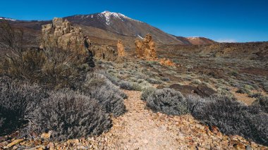 Teide Ulusal Parkı, Tenerife, Kanarya Adaları, İspanya 'da güzel volkanik kayalar ve çöl