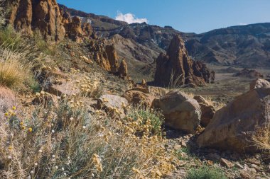 Teide Ulusal Parkı, Tenerife, Kanarya Adaları, İspanya 'da güzel volkanik kayalar ve çöl