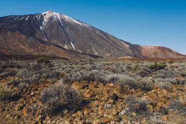 Teide Ulusal Parkı, Tenerife, Kanarya Adaları, İspanya 'da güzel volkanik kayalar ve çöl
