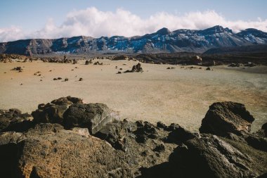 Güzel volkanik kayalar ve yeşil kumlu çöl Teide Ulusal Parkı, Tenerife, Kanarya Adaları, İspanya