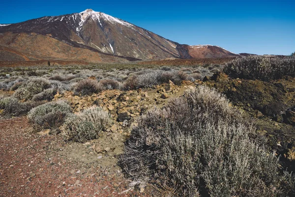 Teide Ulusal Parkı, Tenerife, Kanarya Adaları, İspanya 'da güzel volkanik kayalar ve çöl