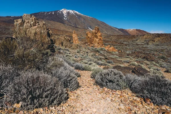 Teide Ulusal Parkı, Tenerife, Kanarya Adaları, İspanya 'da güzel volkanik kayalar ve çöl