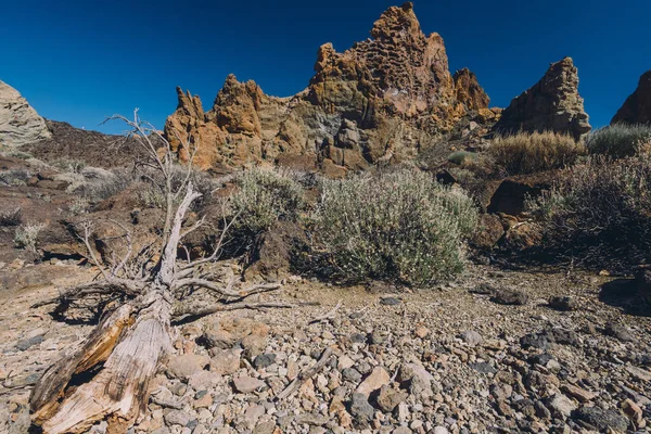Teide Ulusal Parkı, Tenerife, Kanarya Adaları, İspanya 'da güzel volkanik kayalar ve çöl