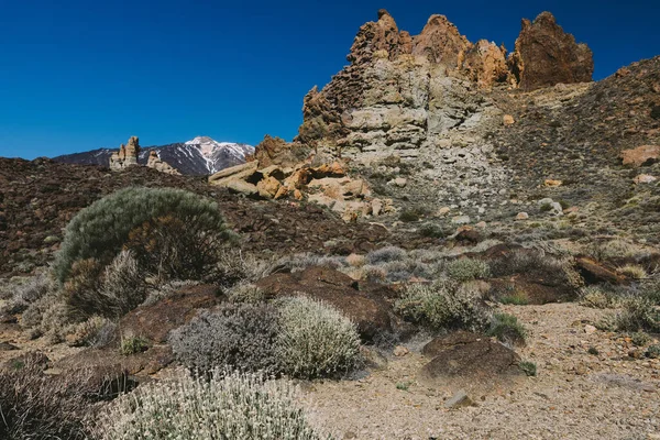 Teide Ulusal Parkı, Tenerife, Kanarya Adaları, İspanya 'da güzel volkanik kayalar ve çöl