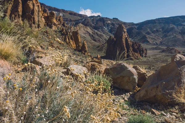 Teide Ulusal Parkı, Tenerife, Kanarya Adaları, İspanya 'da güzel volkanik kayalar ve çöl