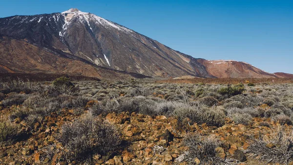 Teide Ulusal Parkı, Tenerife, Kanarya Adaları, İspanya 'da güzel volkanik kayalar ve çöl