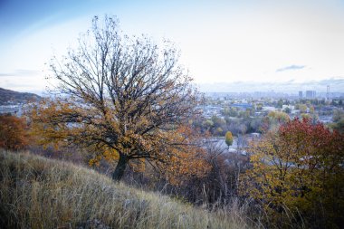 Kiev cityscape. Endüstriyel şehrin görünümünü günbatımı zamanı Ekim tarihinde