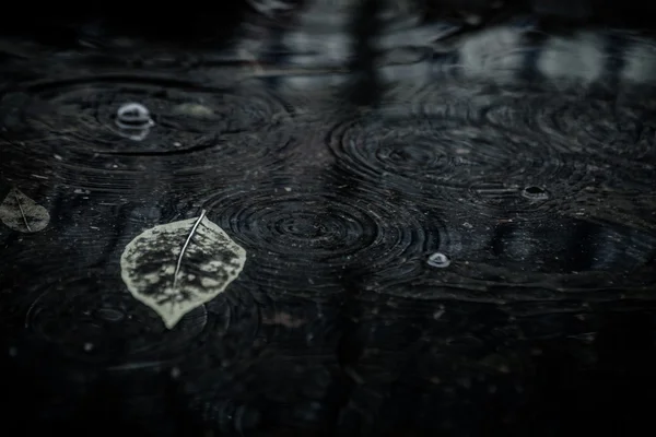 Hoja de otoño en charco — Foto de Stock