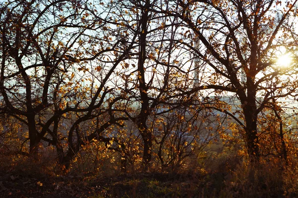 Żółty jesienny w Kijów, Kijów widok przemysłowych w jesienny zachód słońca — Zdjęcie stockowe