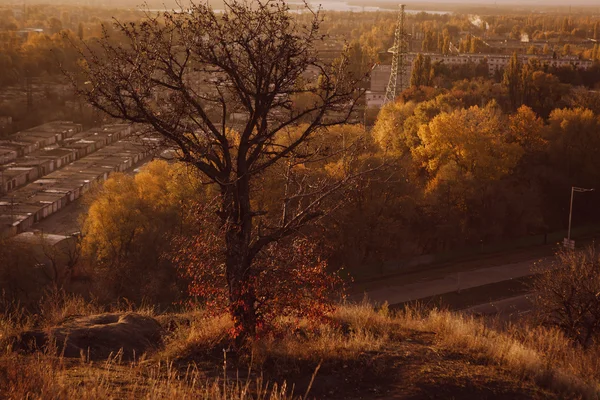 Yellow autumn in Kyiv, kiev industrial view in autumn sunset — Stock Photo, Image