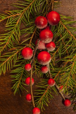 Noel meyveli çam dalları