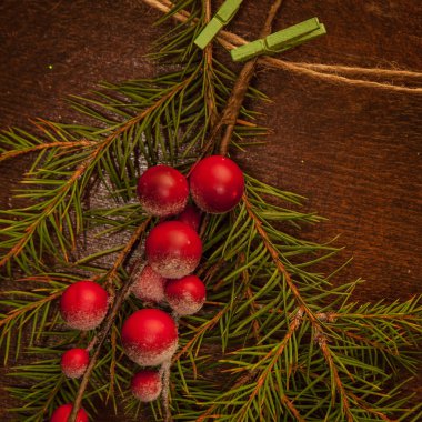 Noel meyveli çam dalları