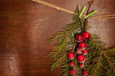 Noel meyveli çam dalları