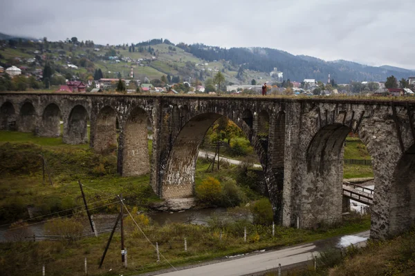 Par i kärlek med hund nära bridge — Stockfoto