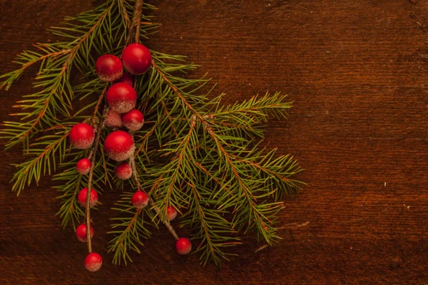 Ramos de pinheiro com bagas de Natal — Fotografia de Stock