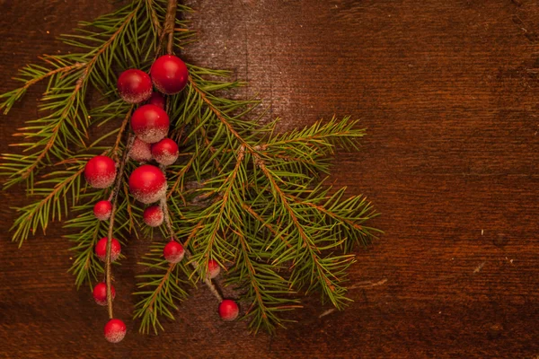 Rami di pino con bacche di Natale — Foto Stock