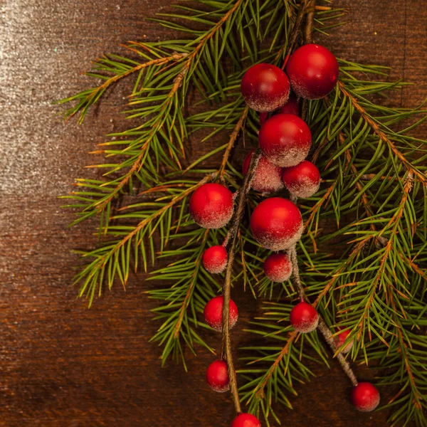 Noel meyveli çam dalları — Stok fotoğraf