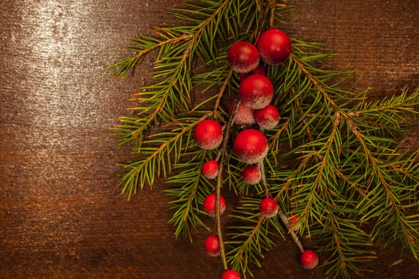 Noel meyveli çam dalları — Stok fotoğraf