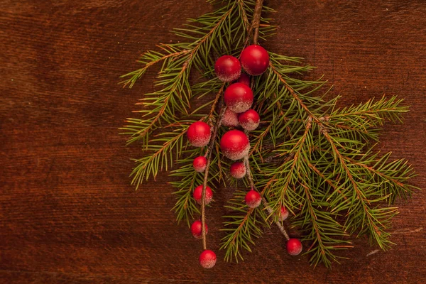 Ramas de pino con bayas de Navidad — Foto de Stock