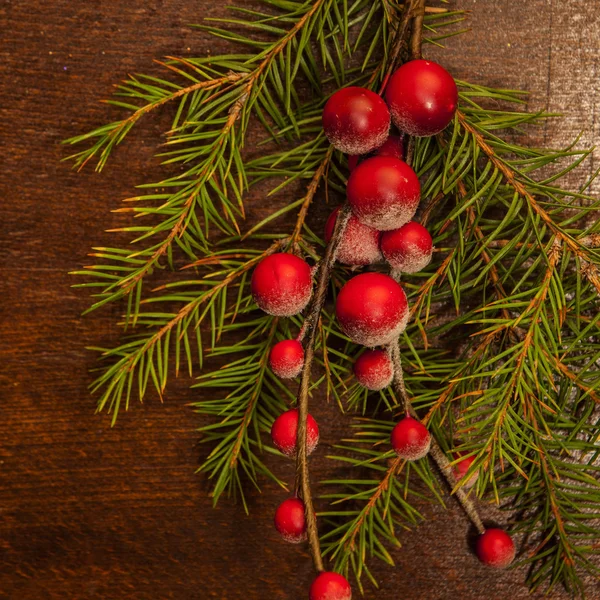 Borové větve s vánoční bobulí — Stock fotografie