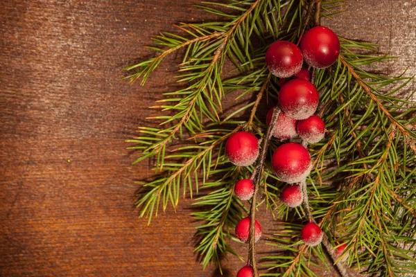 Ramos de pinheiro com bagas de Natal — Fotografia de Stock