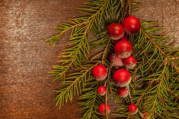 Ramos de pinheiro com bagas de Natal — Fotografia de Stock