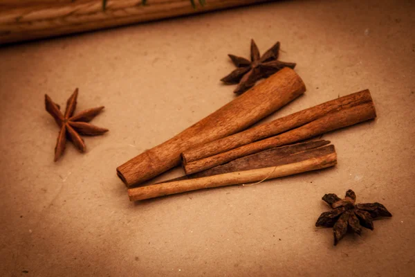 Cinnamon sticks and anise — Stock Photo, Image
