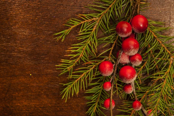 Dennenbomen met kerstbessen — Stockfoto