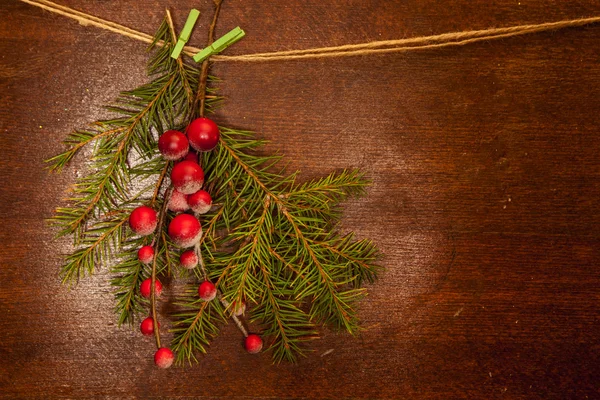 Pine branches with Christmas berries — Stock Photo, Image