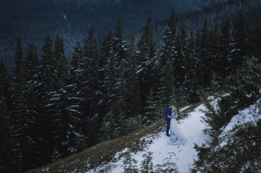 Güzel gelin ve damat Dağı'nda kış karda