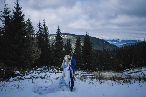 Lovely bride and groom in winter snow on mountain — Stock Photo, Image