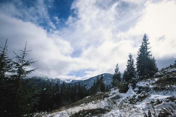 Güzel gelin ve damat Dağı'nda kış karda — Stok fotoğraf