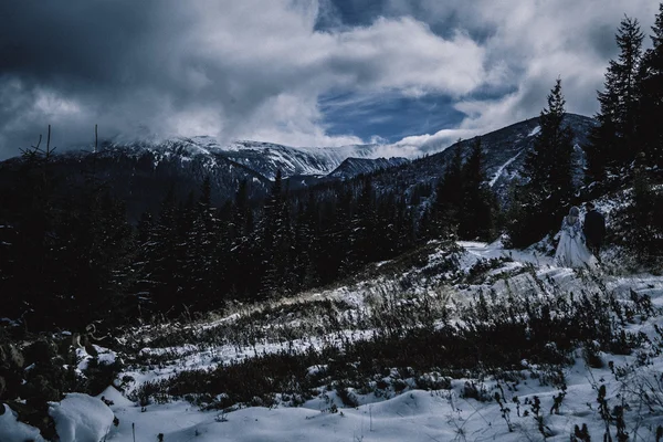 Krásná nevěsta a ženich v zimě sníh na horských — Stock fotografie