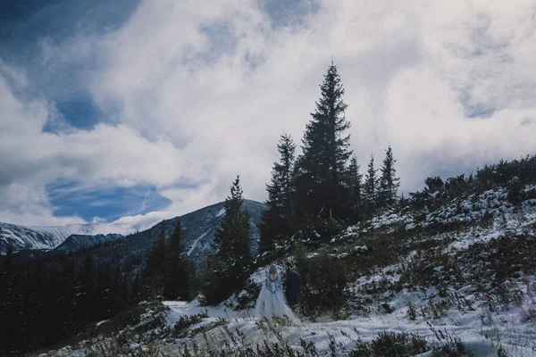 Preciosos novios en invierno nieve en la montaña —  Fotos de Stock