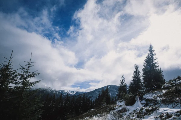 Linda noiva e noivo no inverno neve na montanha — Fotografia de Stock