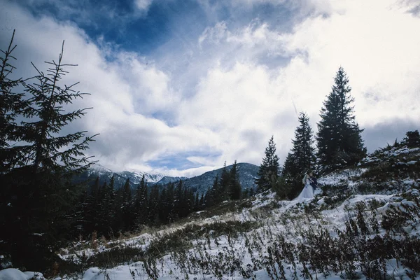 Linda noiva e noivo no inverno neve na montanha — Fotografia de Stock