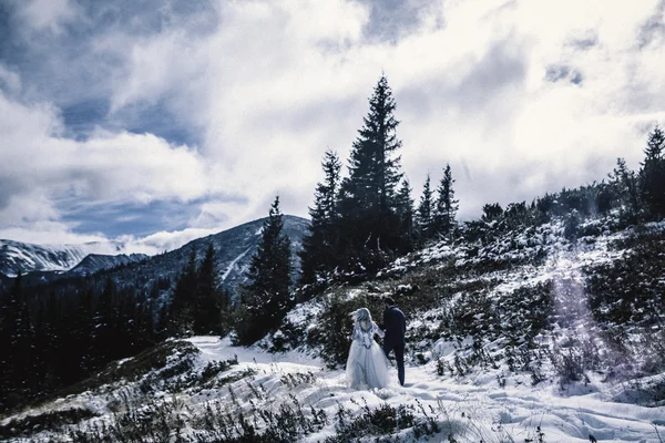사랑 스러운 신부 및 신랑 산에 겨울 눈에 — 스톡 사진