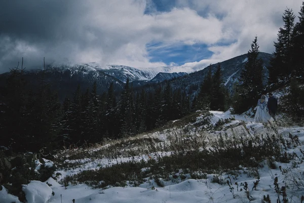 Mooie bruid en bruidegom in wintersneeuw op de berg — Stockfoto